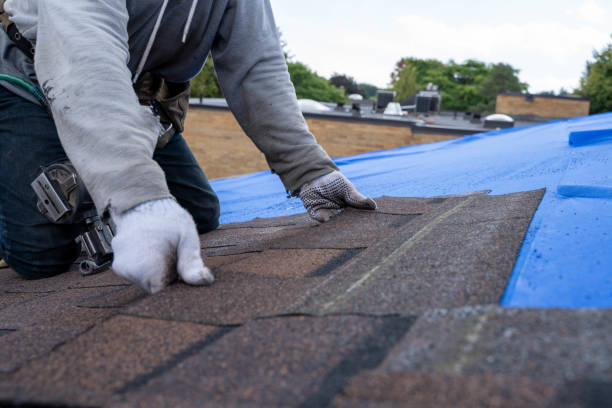 Quick and Trustworthy Emergency Roof Repair Services in Harlem Heights, FL