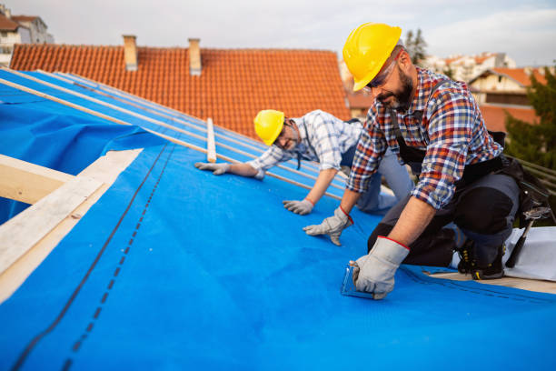 Best Flat Roof Repair Services  in Harlem Heights, FL