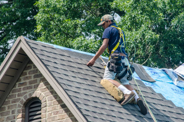 Best Gutter Installation and Roofing  in Harlem Heights, FL